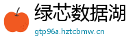 绿芯数据湖